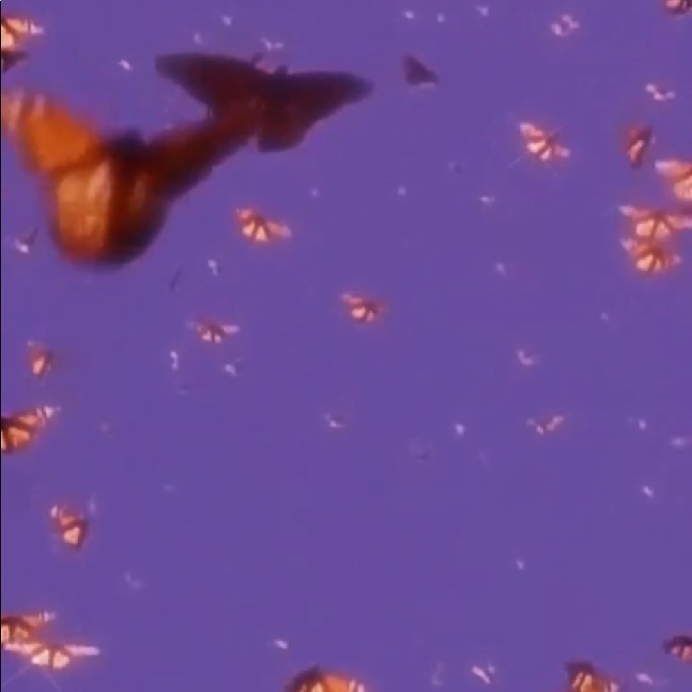 MAKE OFFERS ON EVERYTHING